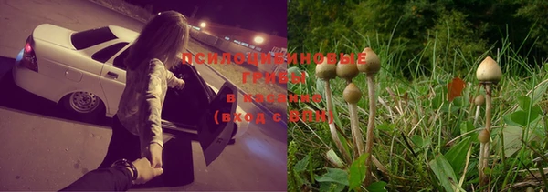 альфа пвп Гусиноозёрск