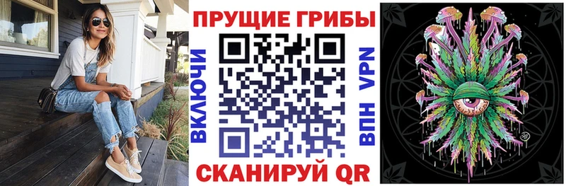 продажа наркотиков Междуреченск Псилоцибиновые грибы Magic Shrooms