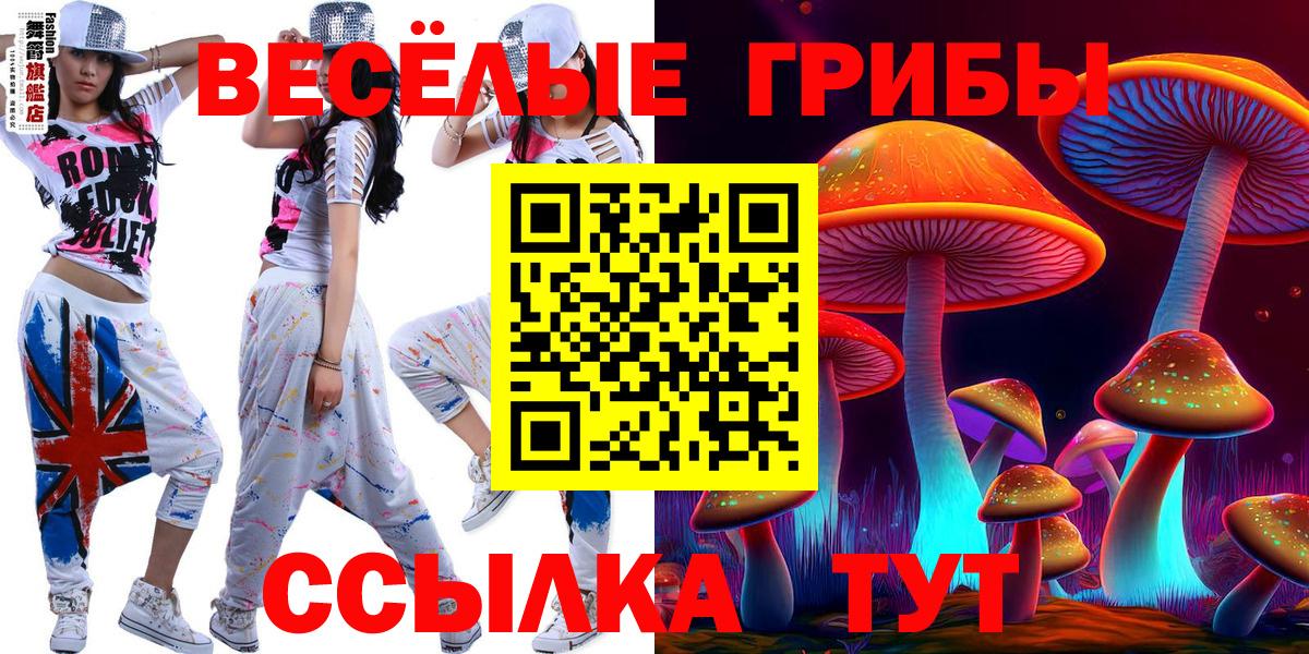 Галлюциногенные грибы GOLDEN TEACHER  Вход с VPN  Междуреченск  Галлюциногенные грибы GOLDEN TEACHER 